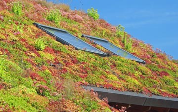 Olveston living roof systems
